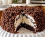 Chocolate Crumble Cake with Coconut Cream Filling