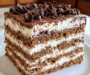 Mocha Chocolate Icebox Cake